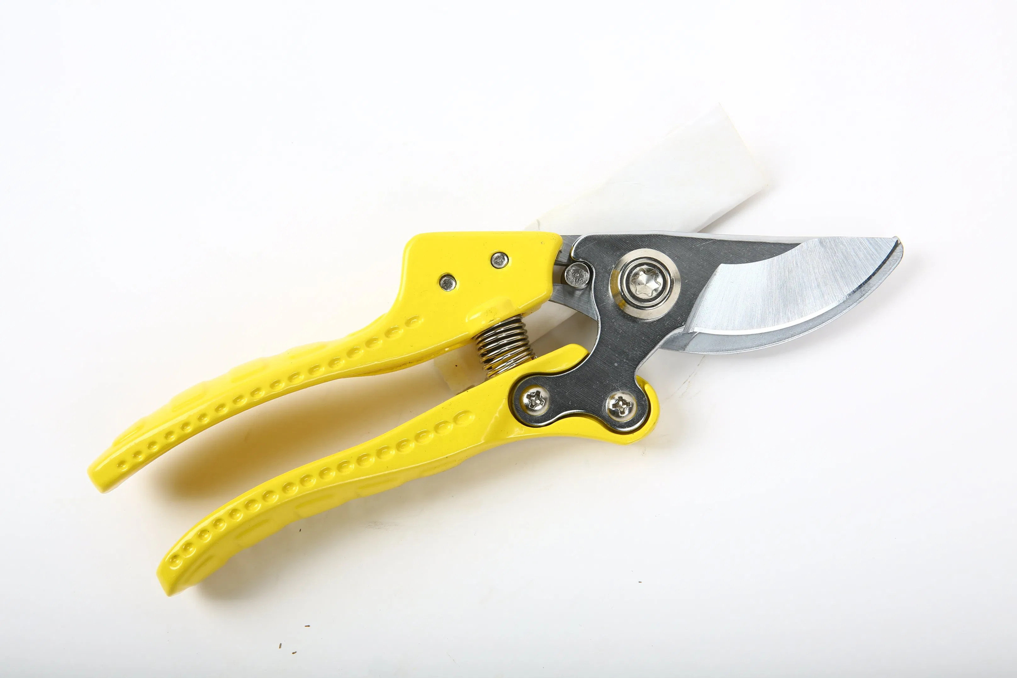 High-Quality Pruning Shears Ideal for Garden and Orchard Work.