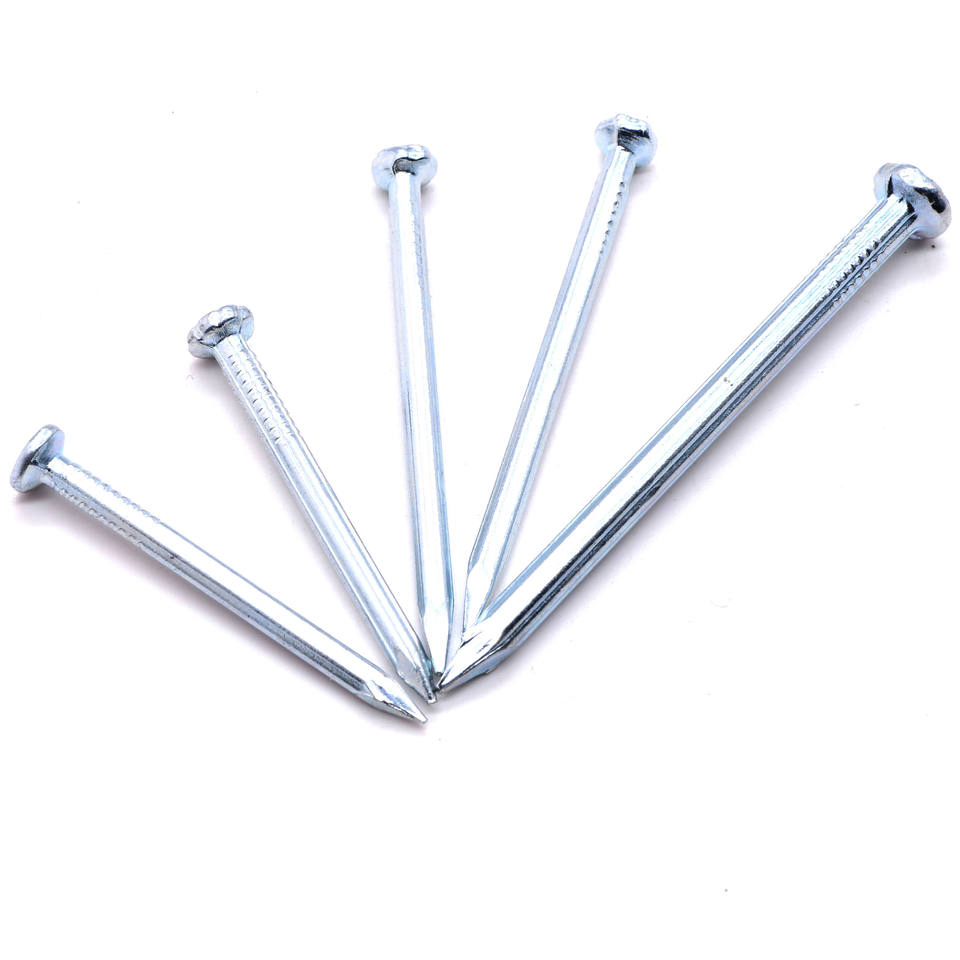 Zinc Plated Clout Nail Cupper Nail with High Quality Nails Construction