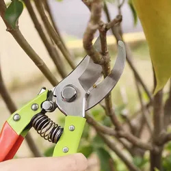 Tree Trimming Shears Scissors with Green Handle Gardening Pruning Secateurs