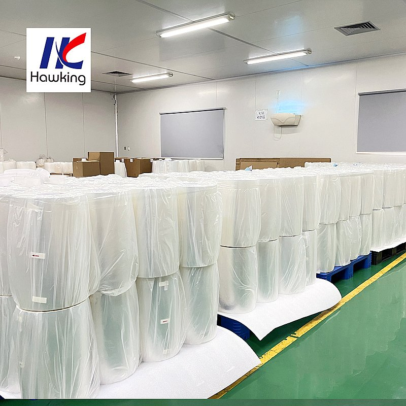 High-Quality PA/PE Co-Extruded Plastic Film for Food Packaging