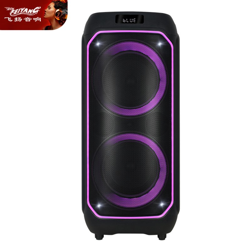 Feiyang New Arrival Private Mould Party Speaker with New Light Fg206-20