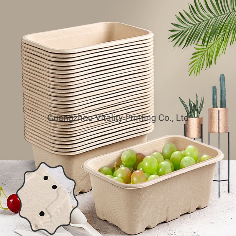 Manufacturer Eco-Friendly Biodegradable Bagasse Food Storage Box Drain Basket Kitchen Fruit Vegetable Washing Drying Storage Strainer Basket