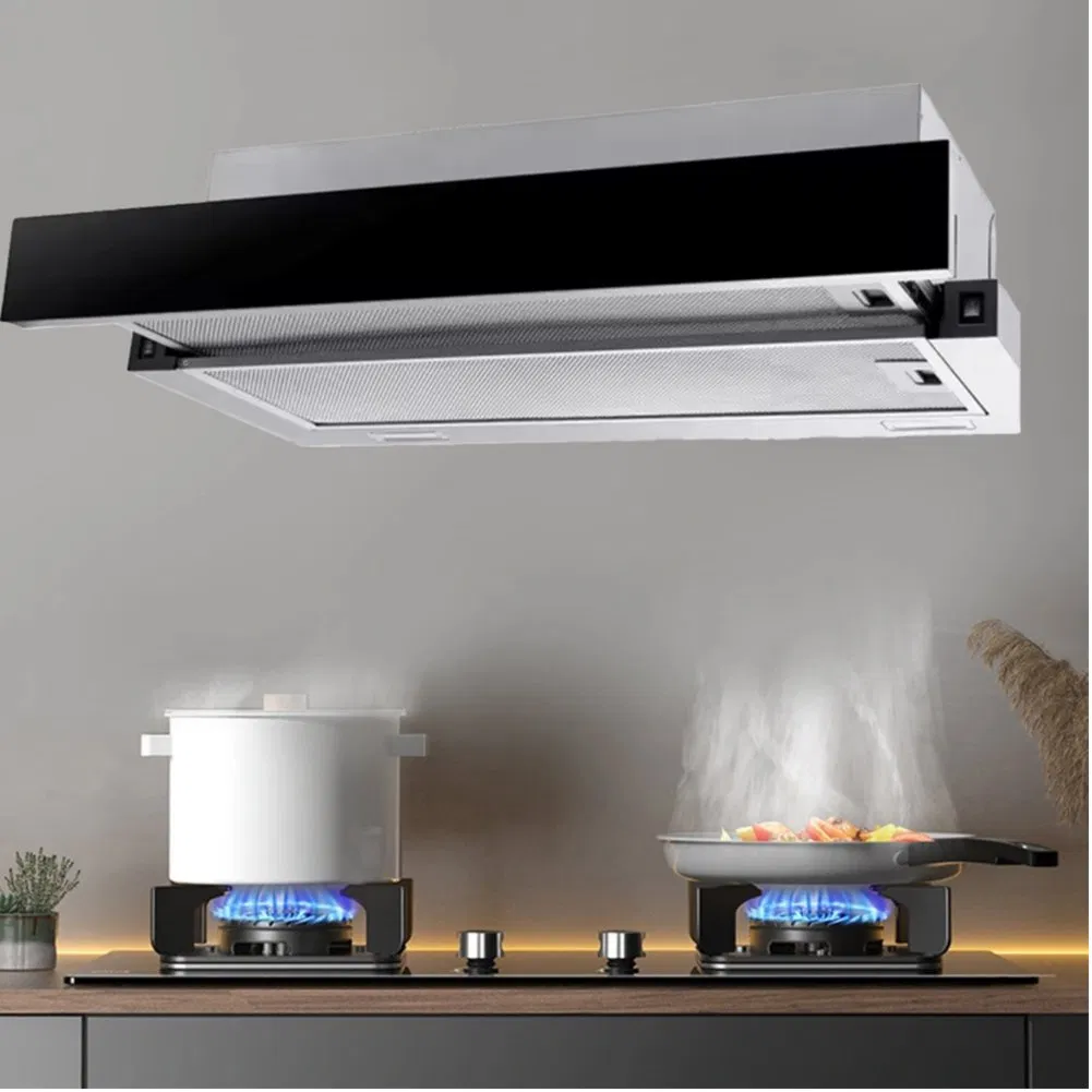 Telescopic Stainless Steel Built-in Kitchen Cabinet Aire Range Hood Slim Smart Kitchen Hood Mini Extractor Hood