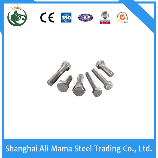 Grade 4.8/8.8/10.9/12.9 High Strength Bolt 40crmo Alloy Steel Bolts and Gasket