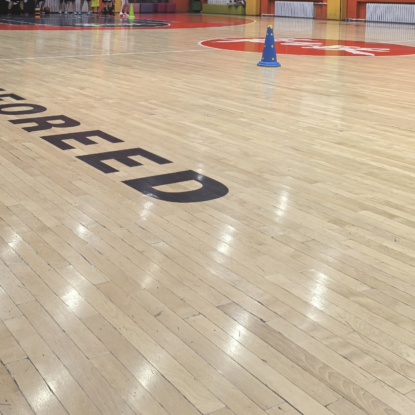 High Rebound 6mm/8mm PVC Floor Basketball Badminton Court