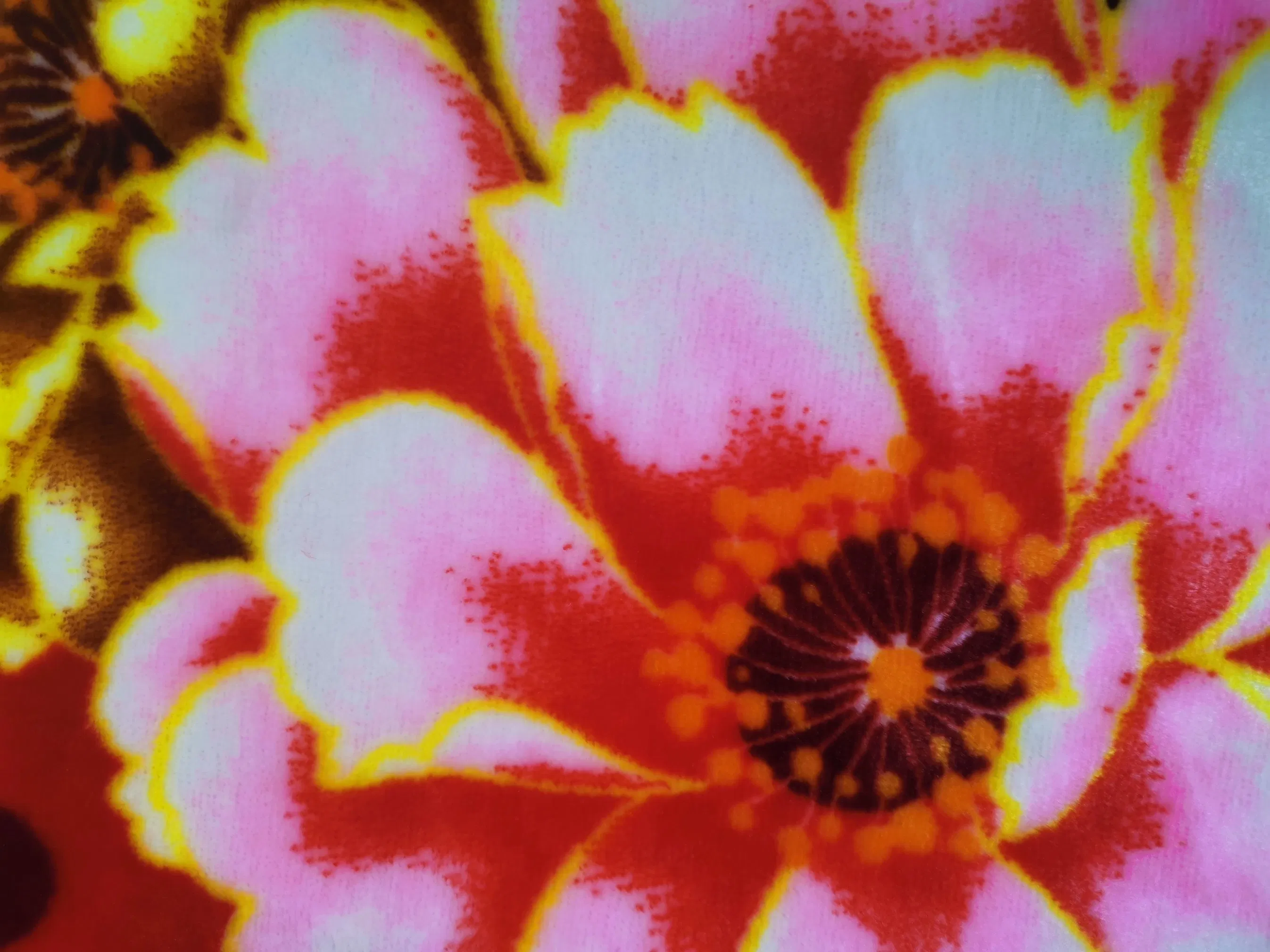 Direct Factory Microfiber Polyester Two Side Printing and Solid Soft Coral Flannel Fleece