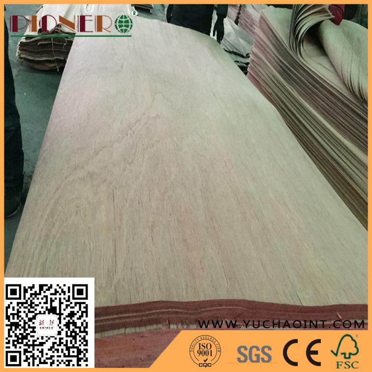 A Grade Rotary Cut Natural Gurjan/Keruing Veneer for India Market