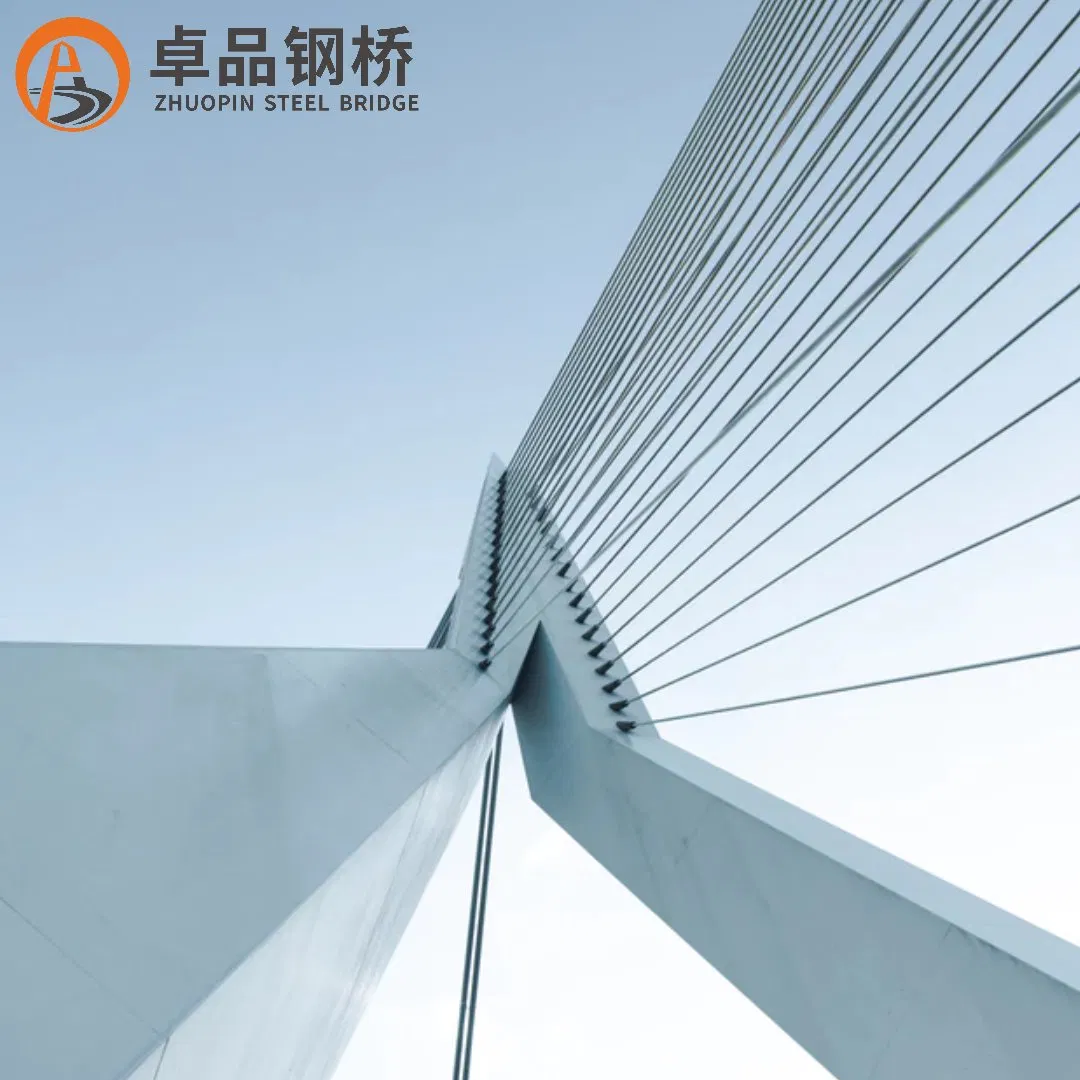 Sustainable Steel Structure Bridge /China Steel Bridge