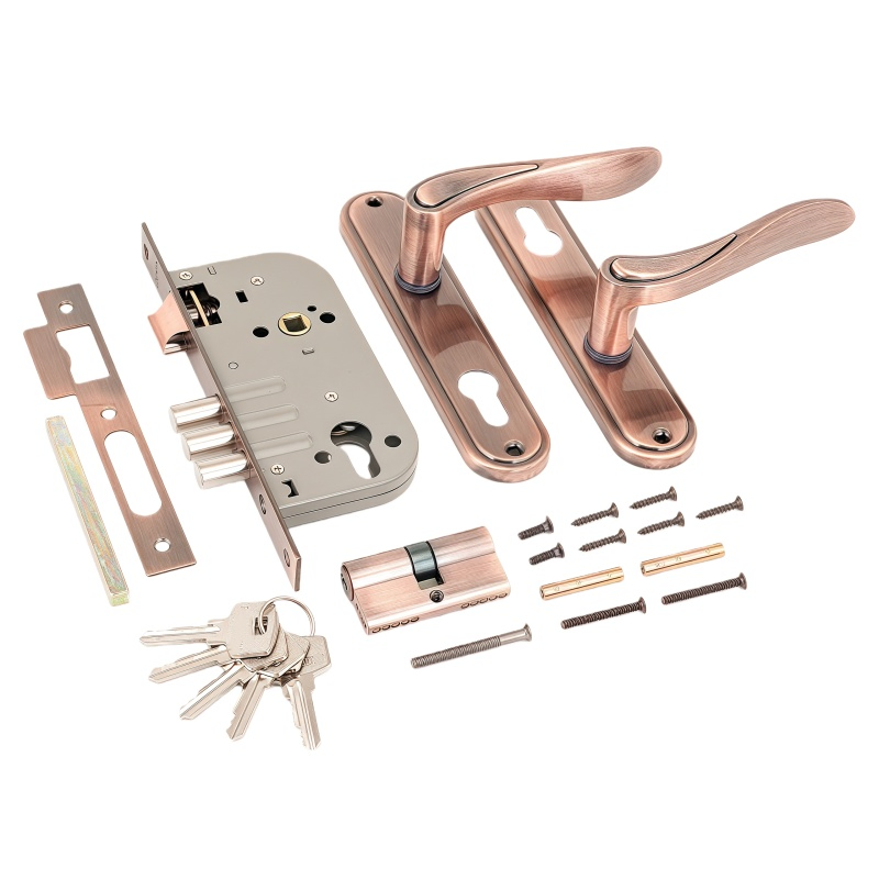 Premium Durable Door Handle and Lock Door Hardware Accessory for Ultimate Security