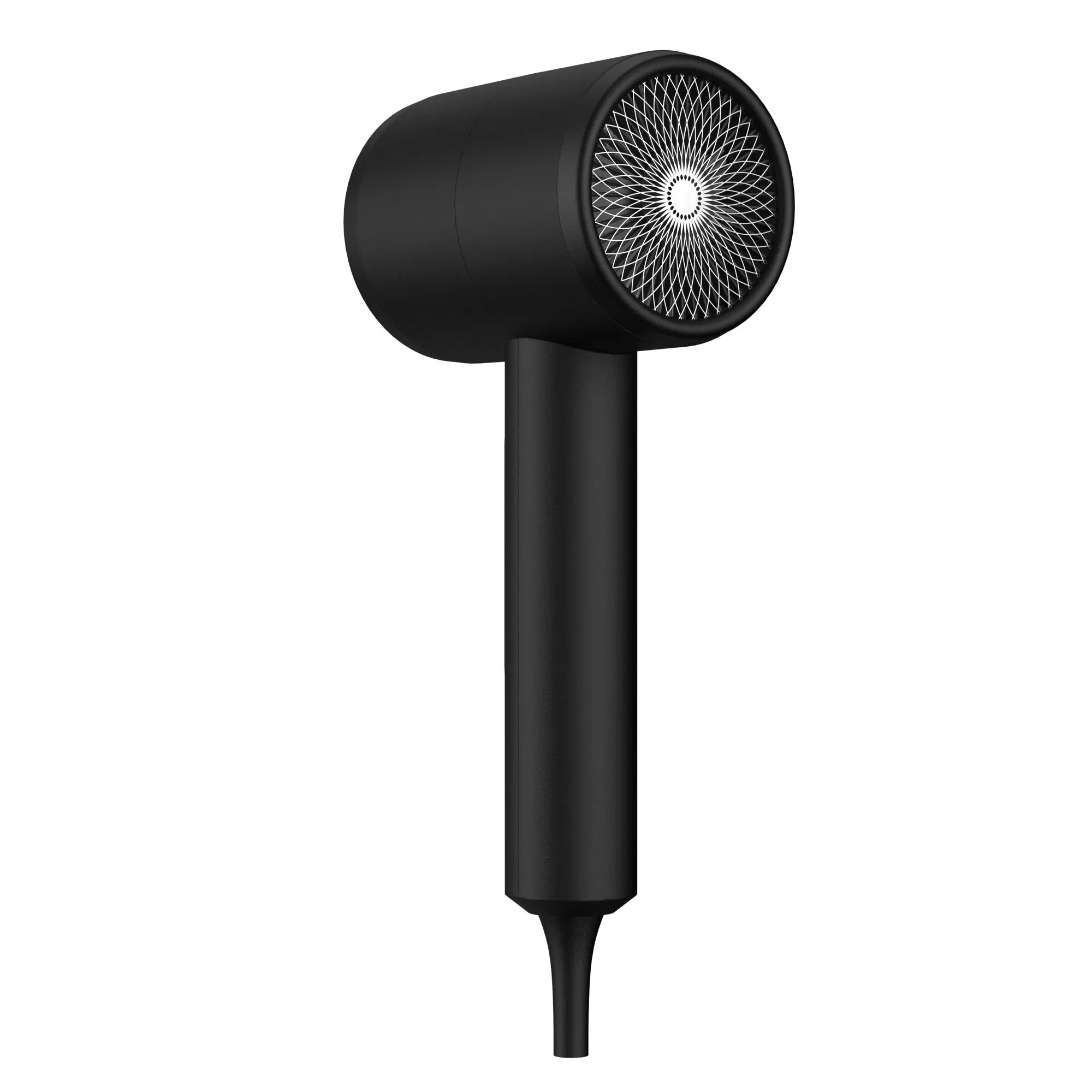 High Quality Dual Voltage High Speed Anion Hair Dryer Professional Hair Dryer