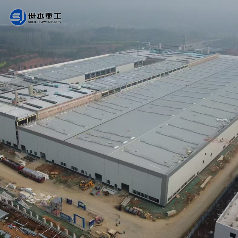 Heavy Duty Steel Structure Building for Workshop & Factory Construction