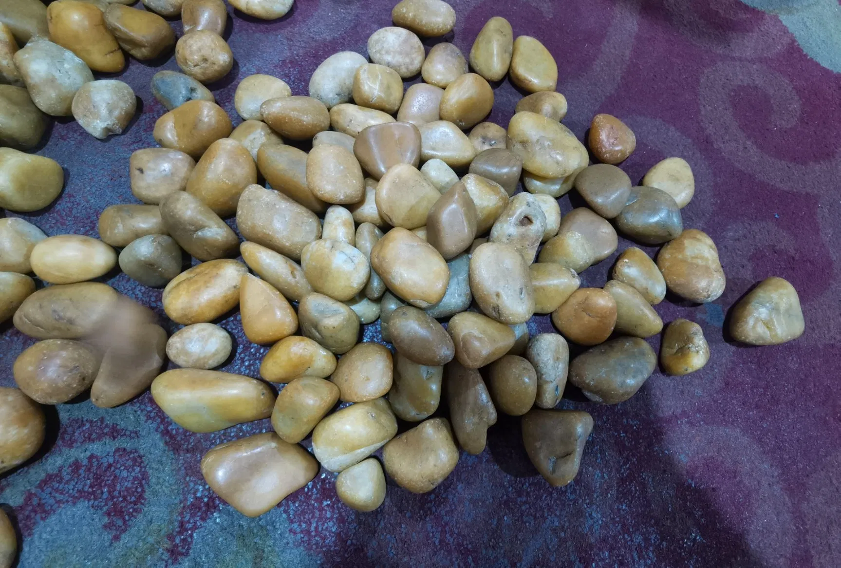 Natural Brown Red Black Grey White Pebble Stone Mixed Color for Decoration