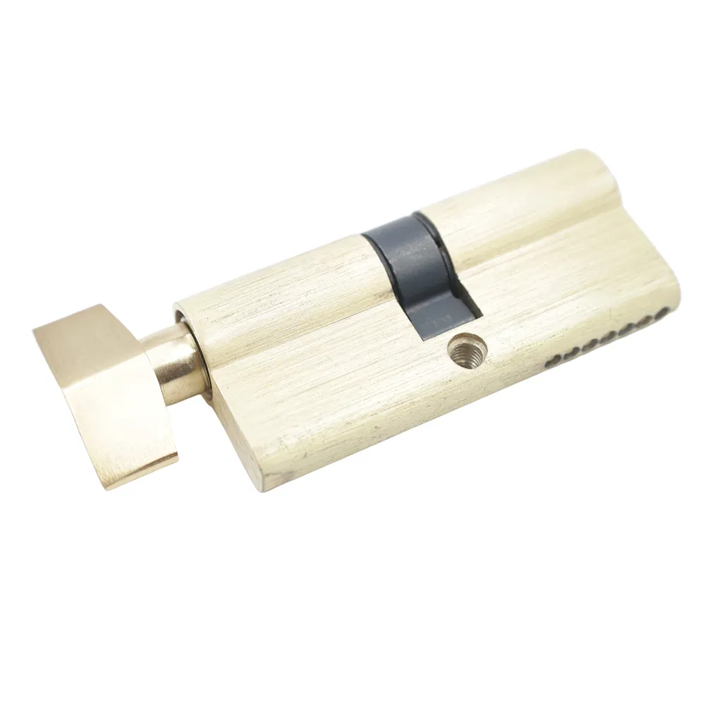 Office Furniture Euro Profile Brass Master Key Body Door Lock Master Key Cylinder Manufacturing Company