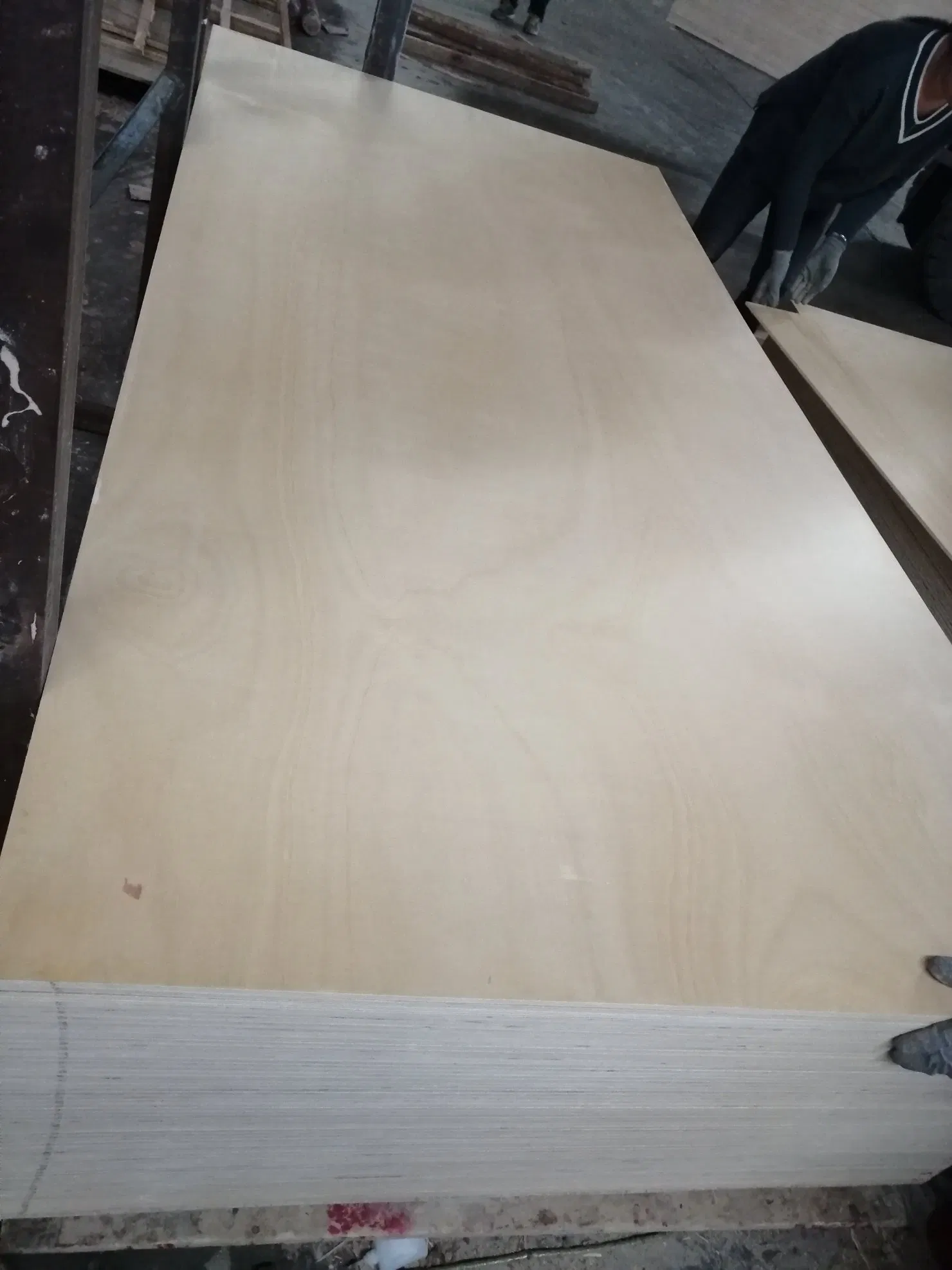 Kauri Plywood/Pine Plywood/Yellow Plywood