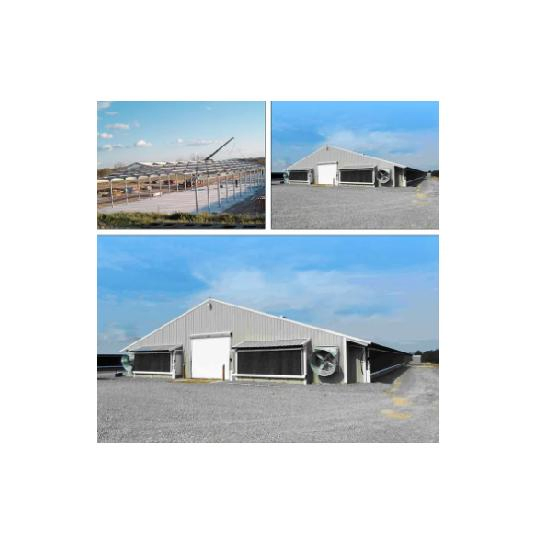 Architecture Prefabricated Poultry House Customized Poultry Farm Chicken House Coop