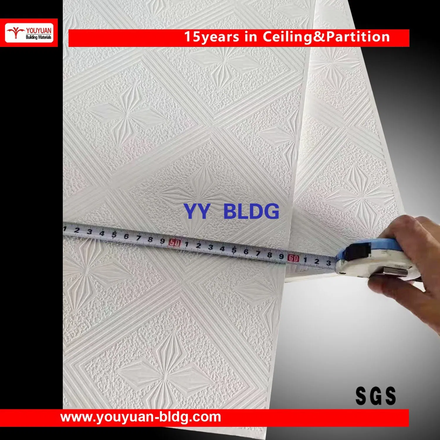 Construction Decoration Products New Building Materials for Ceiling