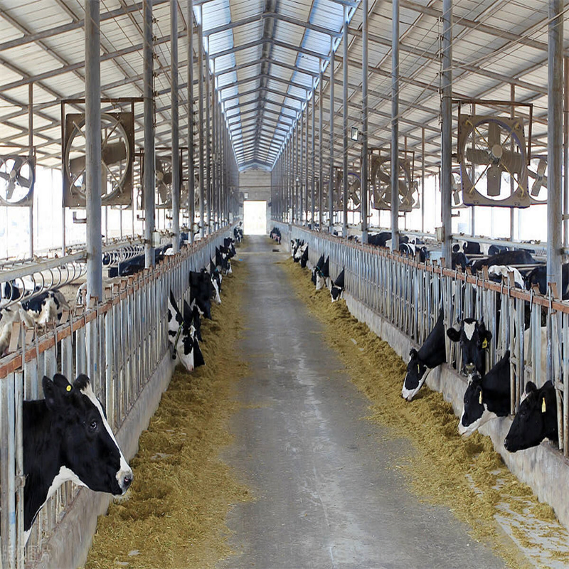 Modern Design Large Span Livestock Farm House Metal Frame Prefabricated Light Steel Frame Steel Structure Construction Pig Sheep Goat Cattle Cow Shed Building