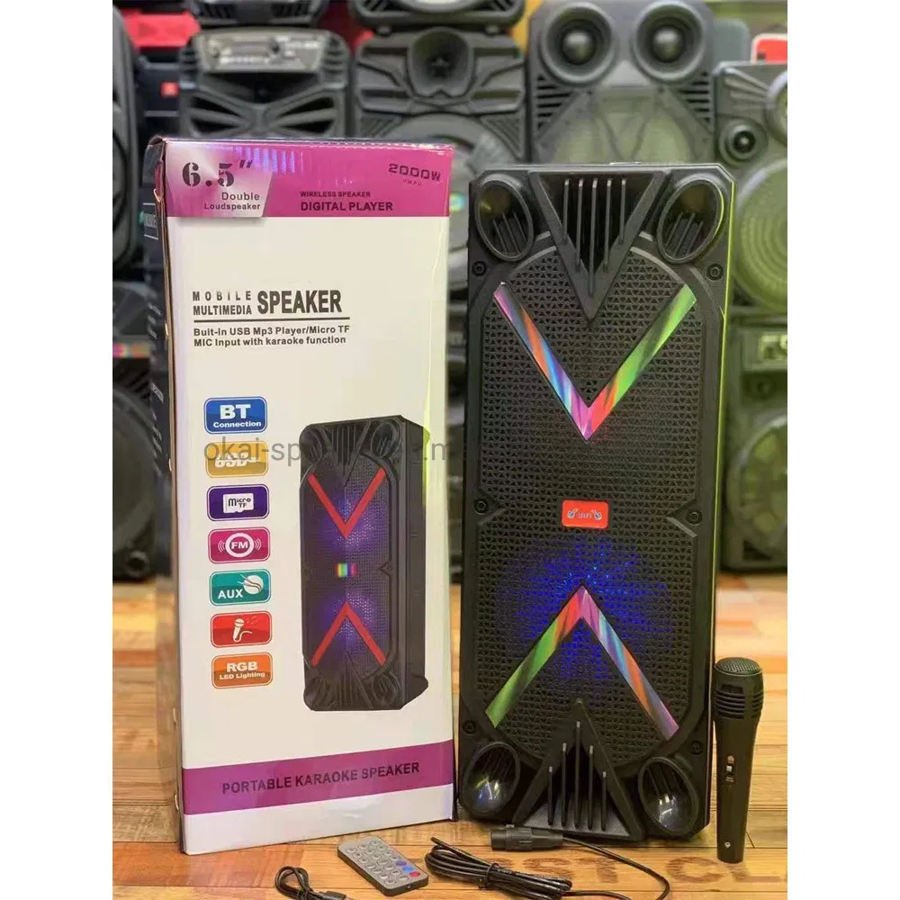 Double 6.5" Music Party Outdoor Portable Bluetooth Speaker with Microphone