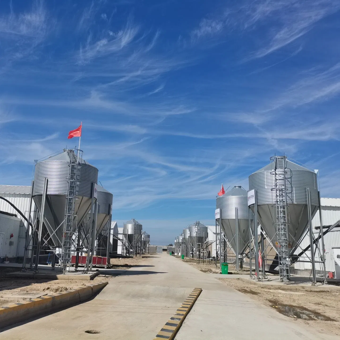 Hot-Sale Galavanzied Steel Silo for Poultry