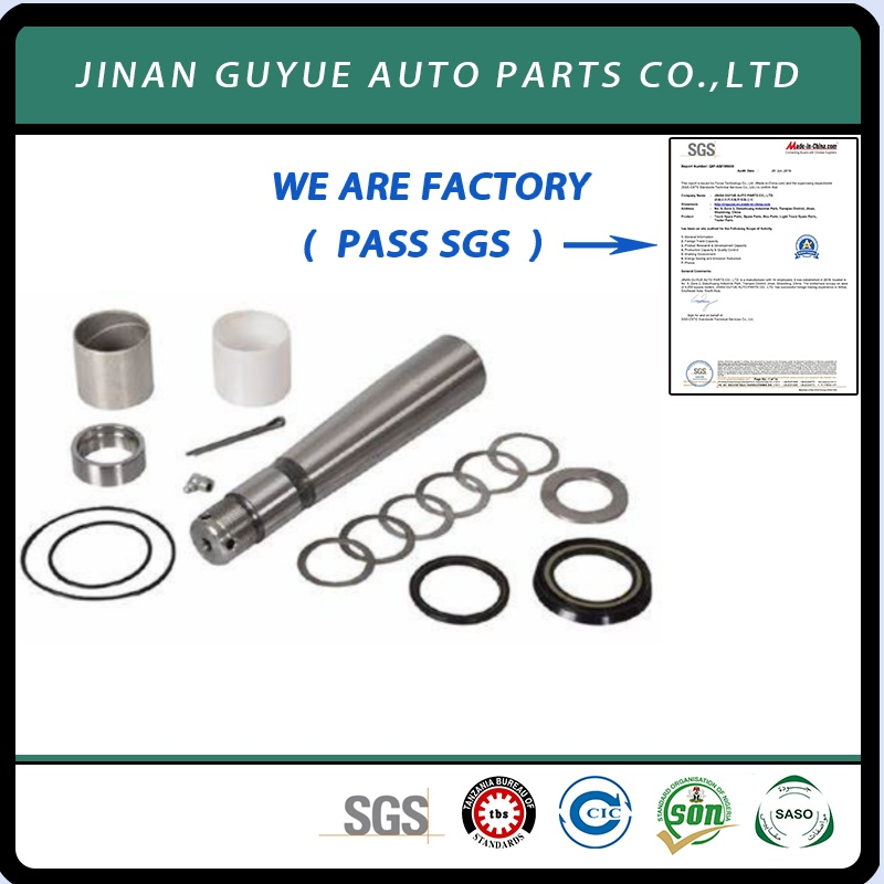 Kin Pin Repair Kit for European Trucks: Benz, MAN, DAF, Renault, Hino, Isuzu, Mitsubishi