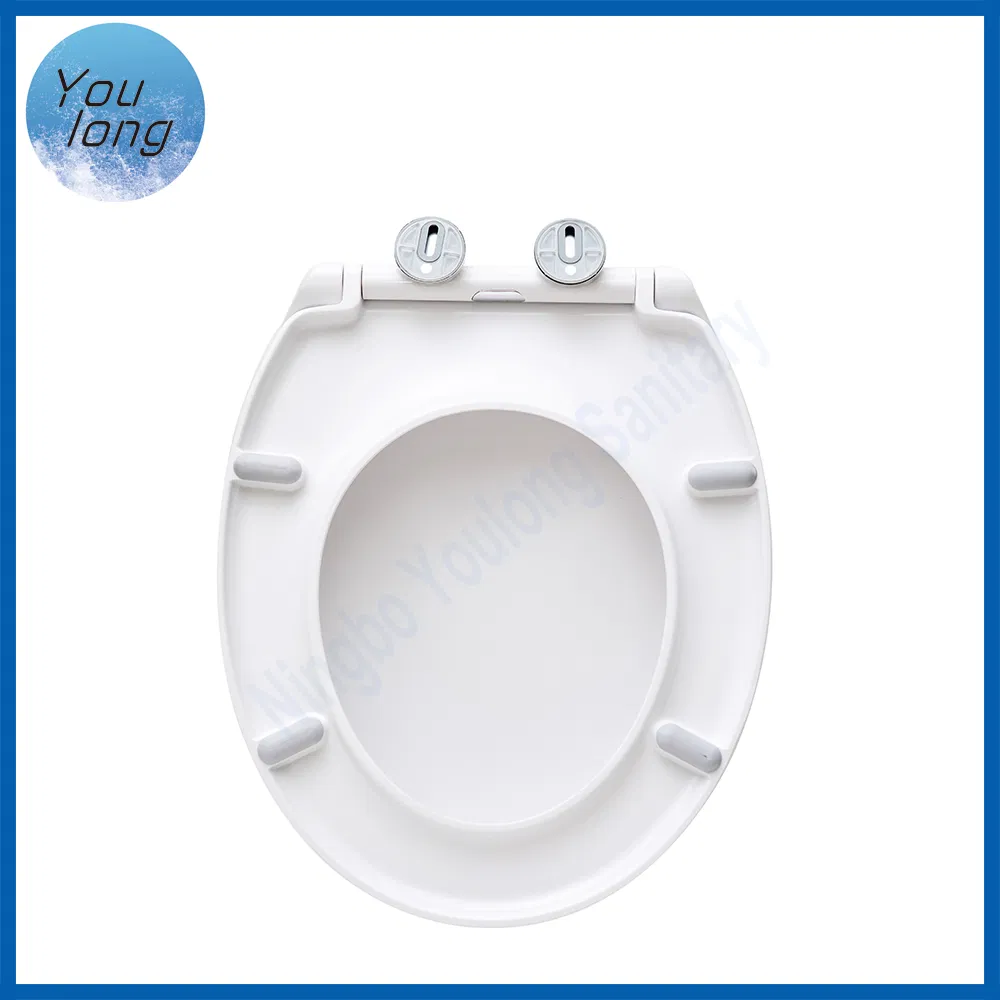 Mould European Quality Universal Oval Shape Plastic Toilet Seat with Cheap Price