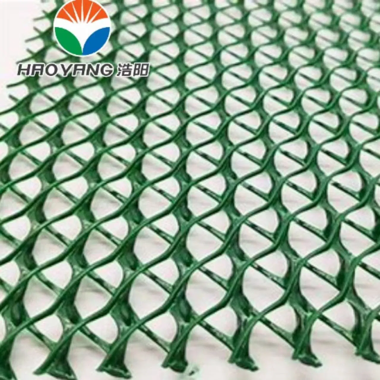 HDPE High Quality Geonet for Railway Drainage