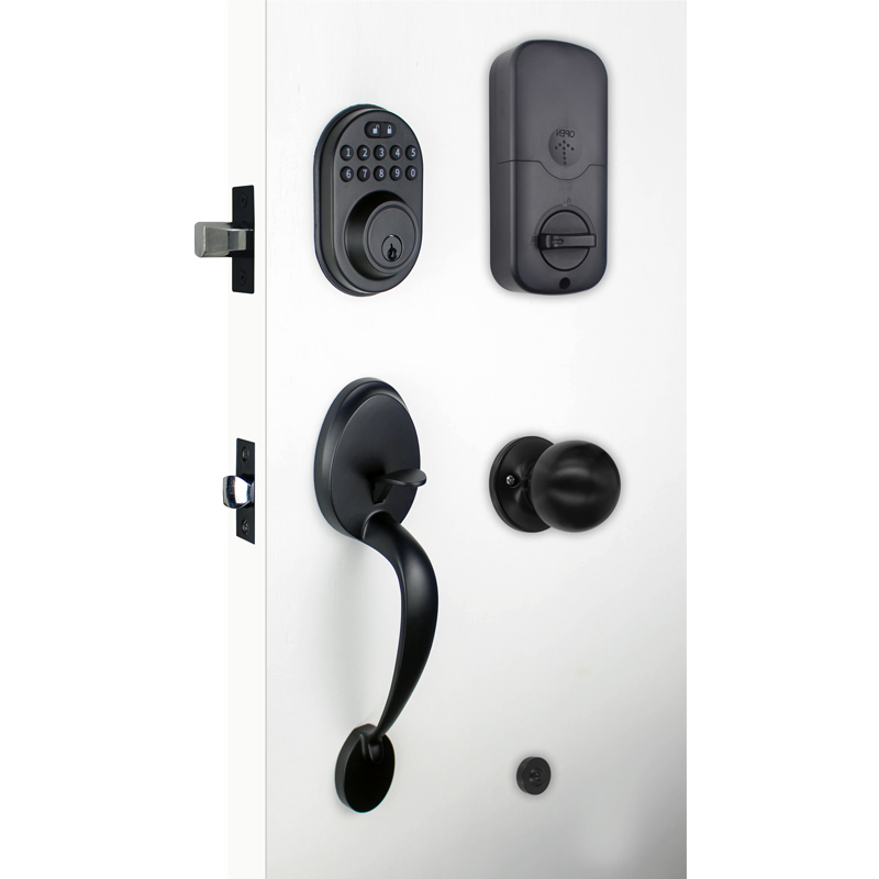 Tuya Black Color Smart Entrance Lock