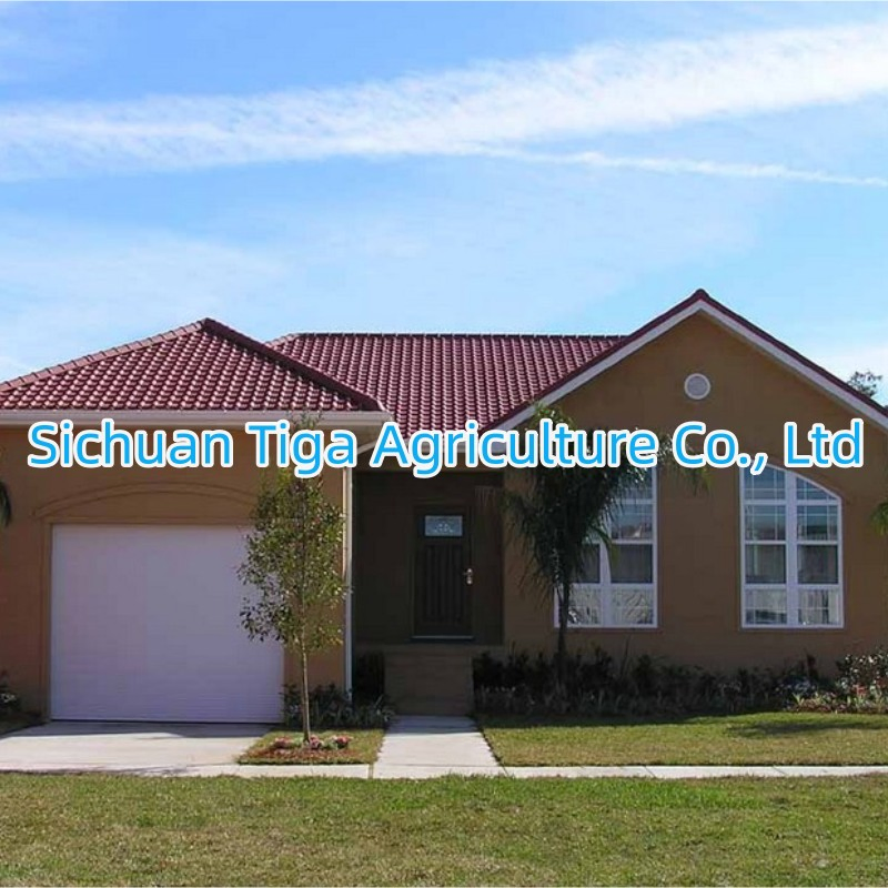 Prefab Light Steel House with Garden/ Bedroom/ Kitchen/ Bathroom/ Living Room