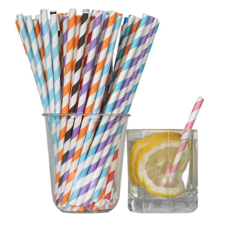 Eco-Friendly Biodegradable Paper Straws with Custom Logo for Parties