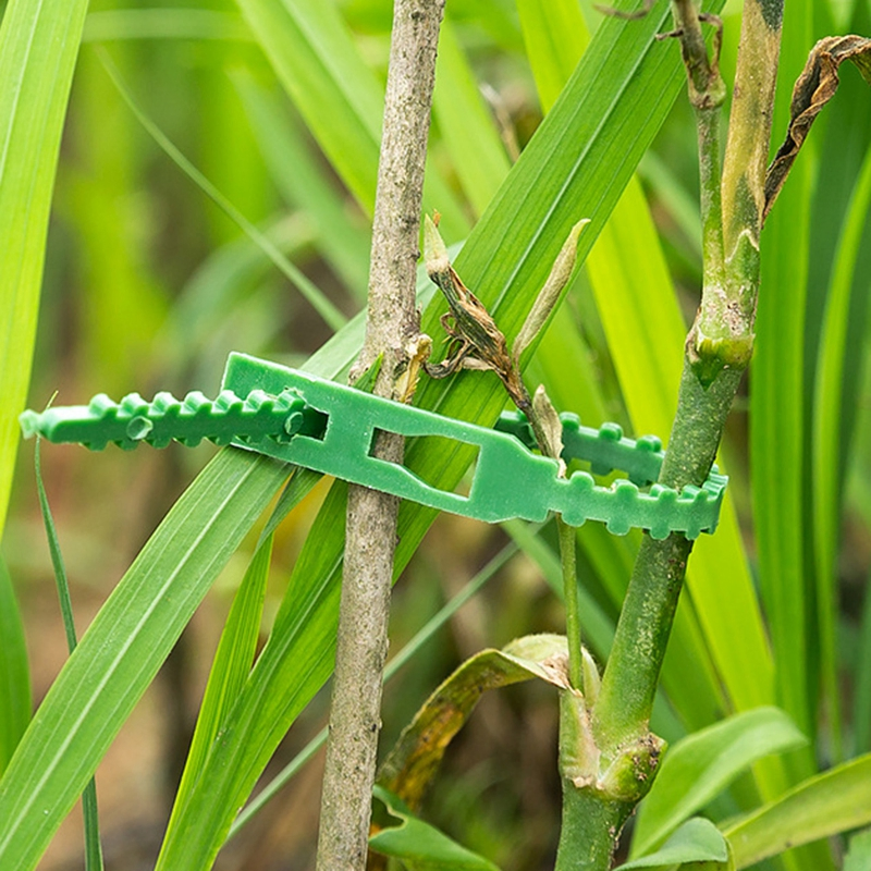 Self-Locking Plastic Tie Adjustable Plastic Plant Cable Tie Reusable Garden Cable Tie Plastic Zip Loop Wire Wrap 100/50/20/10PCS