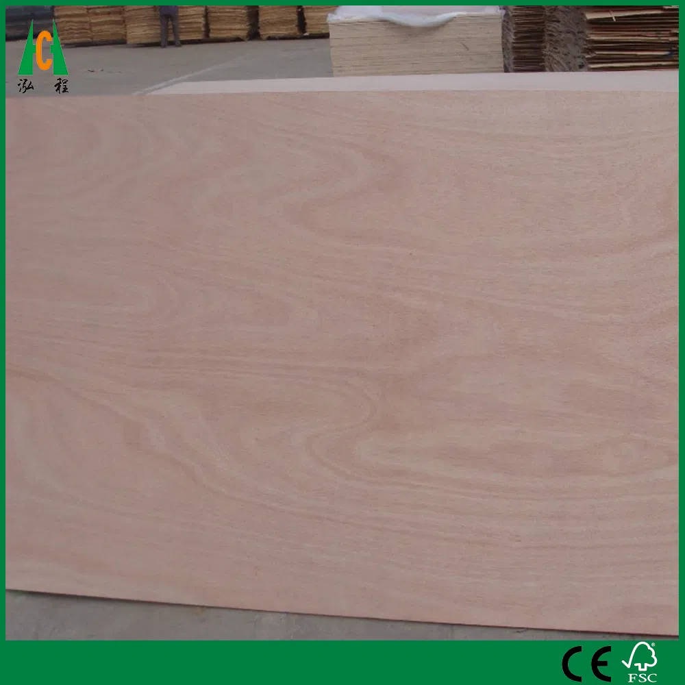 Factory Bintangor/Pine/Poplar/Birch/Okoume Faced Plywood board for High Quality