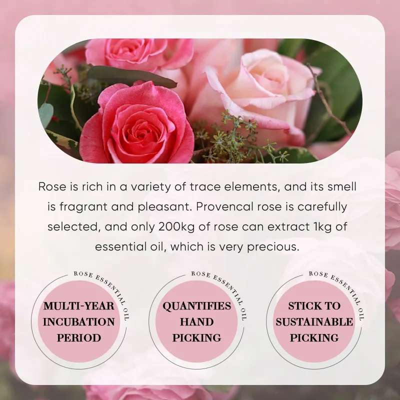 Ditong Rose Moisturizing Nourishing Soothing Face Body Skin Care Massage Oil