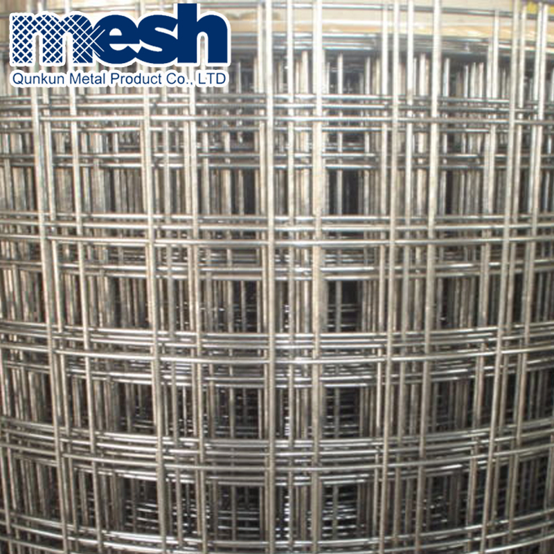 Best Price Building Material Galvanized Welded Wire Mesh on Sale