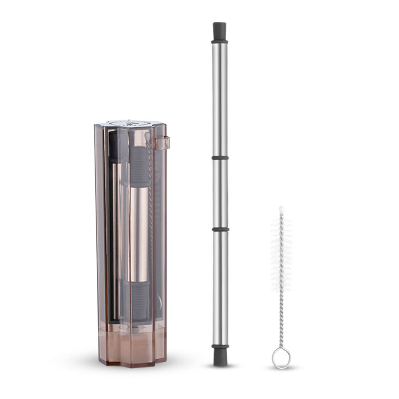 Non-Disposable Silicone and Stainless Steel Collapsible Drinking Straw Set