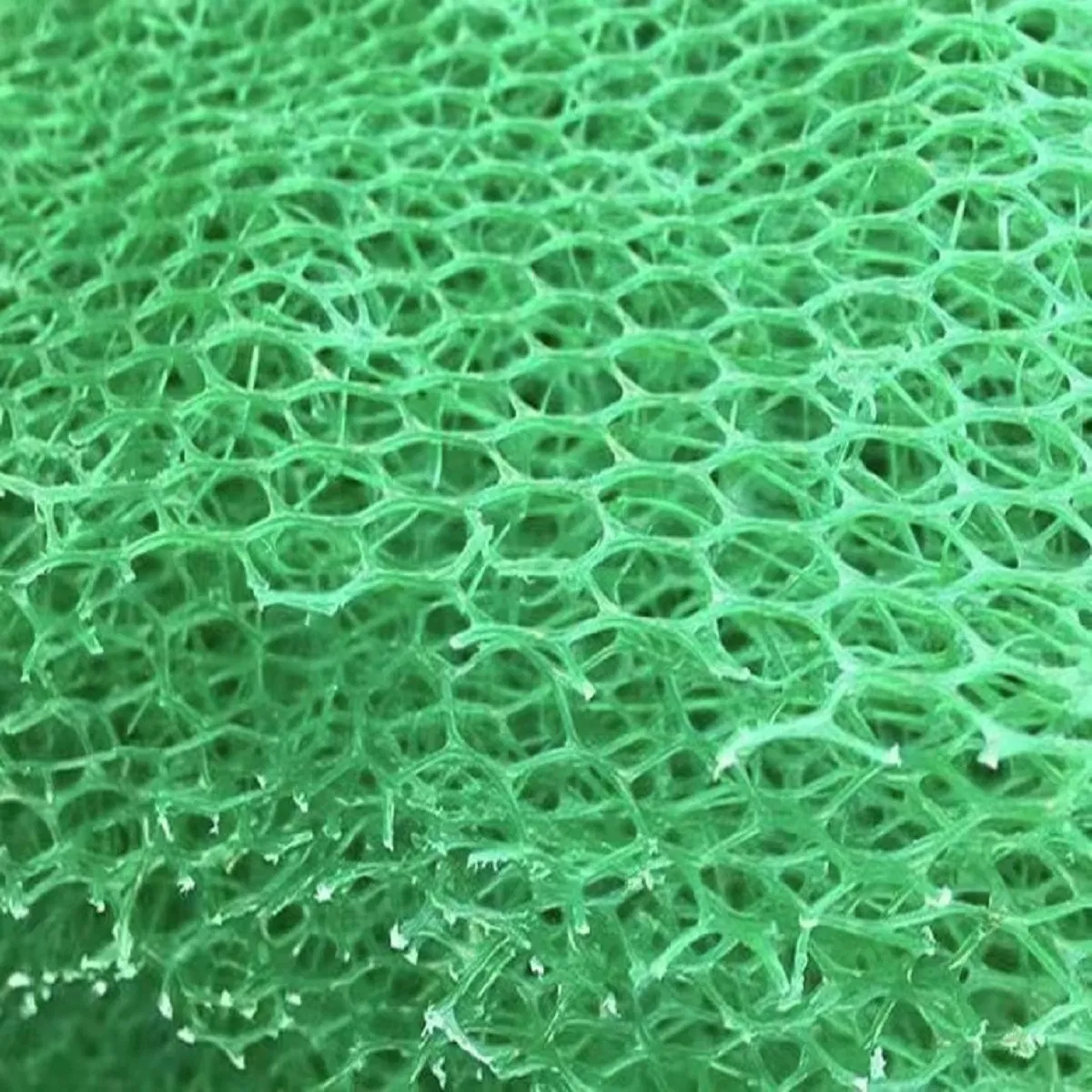 Eco-Friendly Geomat for Effective Soil Erosion Prevention and Grass Growth