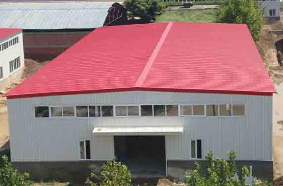 Hight Quality China Professinoal Design Steel Structure Warehouse/Shed /Building/Project Faabrication