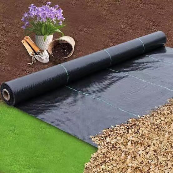 PP Plastic Blue Weed Control Mat for Versatile Garden Use