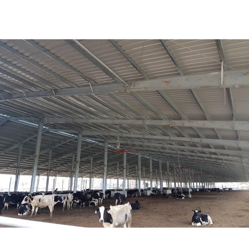 Hot DIP Galvanized Steel Structure Frame Cow Cattle Sheep Warehouse Farm Shed