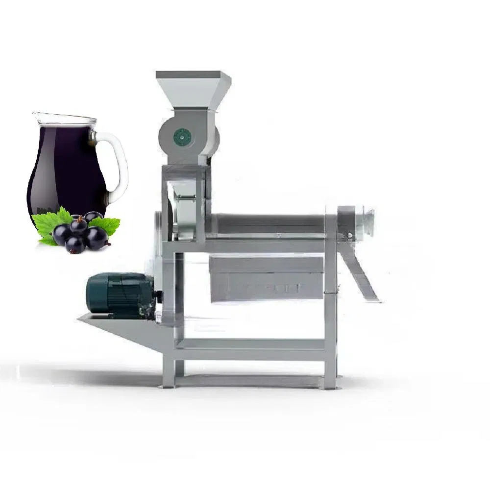 Commercial Extractor Machine Juicers Stainless Steel Slow Centrifugal Orange Automatic Juicer