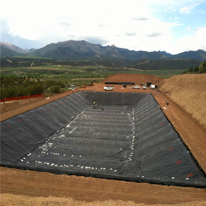 High-Quality UV-Resistant Geomembrane Rolls - 2 to 8 Meters