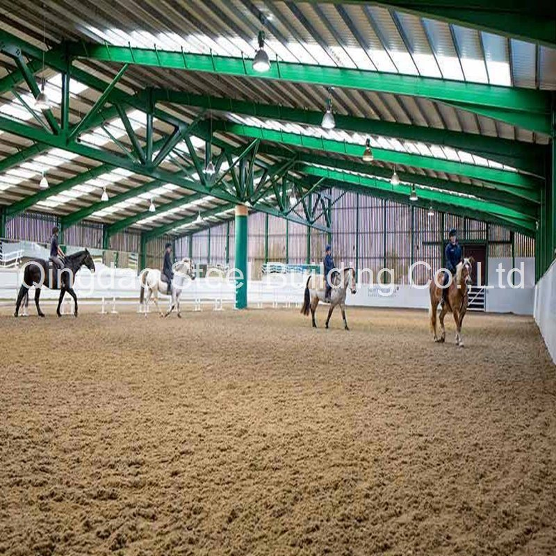 Galvanized Prefabricated Steel Structure Indoor Horse Riding Arena Building