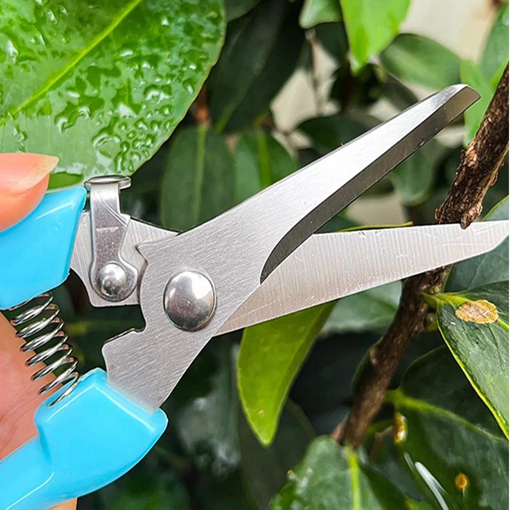St003 Shaping Jobs Gardening Scissors Hand Branch Pruner with Rubber Grip
