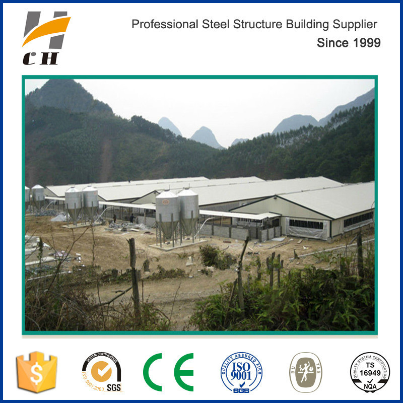 Professional Prefabricated Low Cost Chicken Shelter