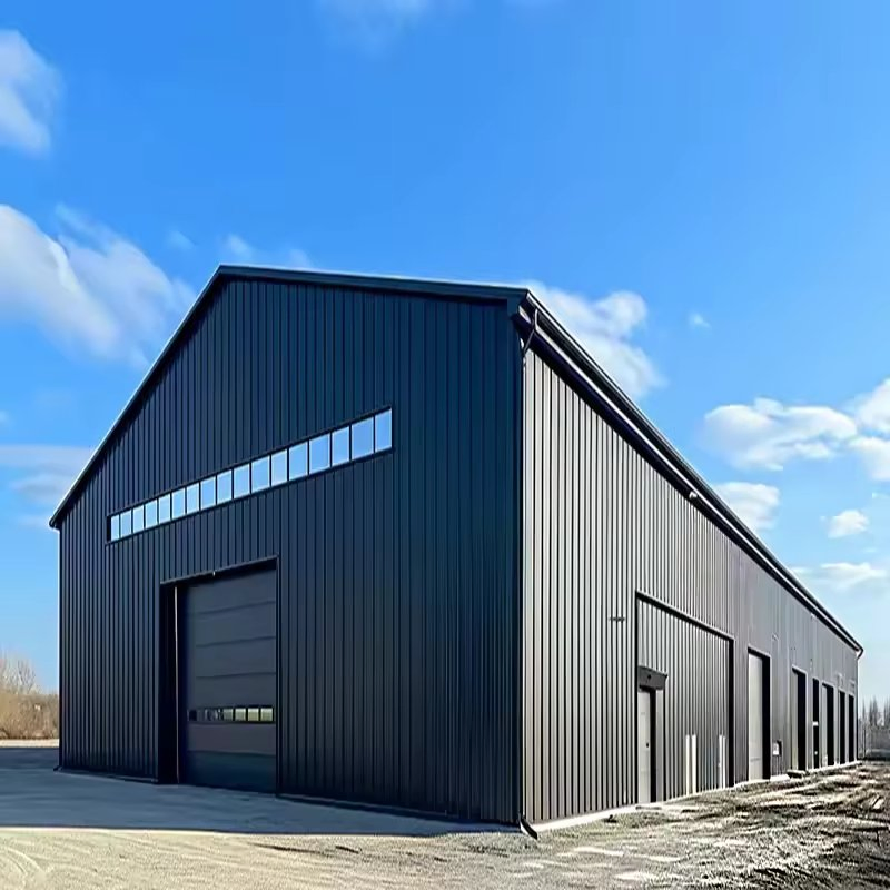 Pre-Engineered Large Shed Long-Span Steel Structure Frame Building for Sales