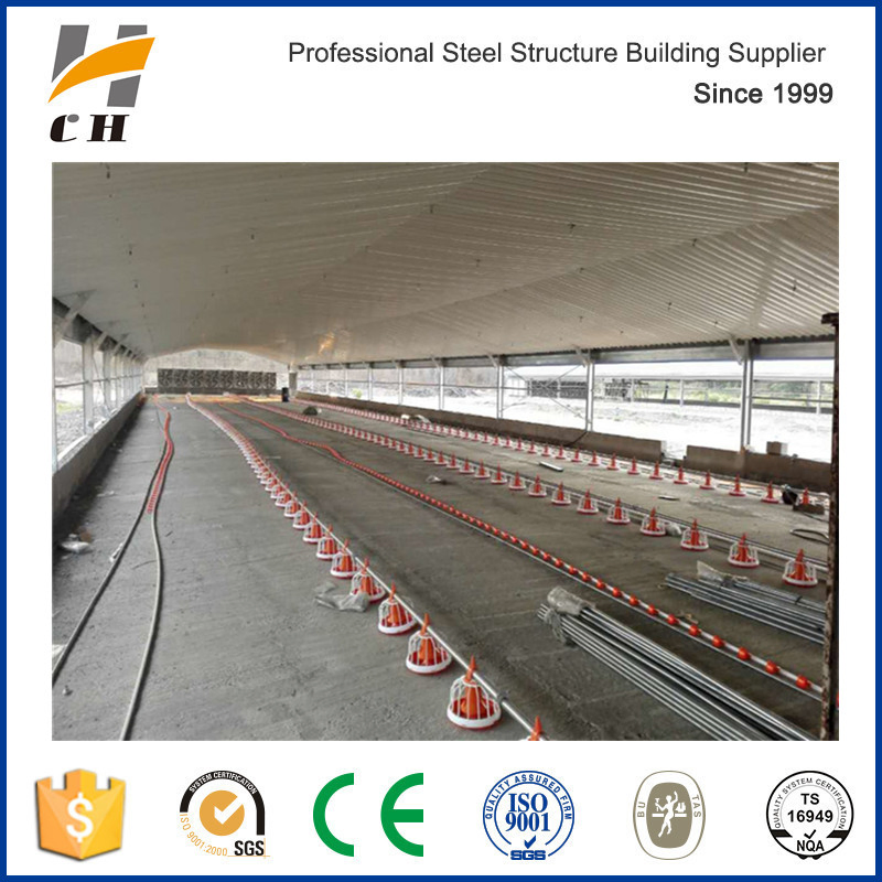Prefabricated Automatic Equipments Commercial Poultry Chicken House/Farm/Shed