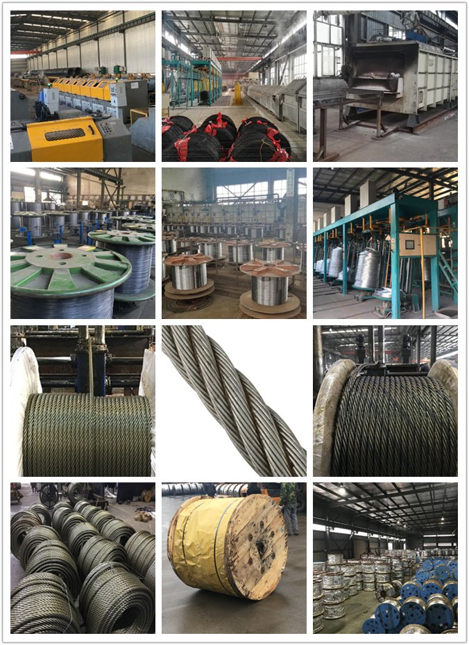 Factory 6X19s+FC 21mm Ungalvanized Steel Wire Rope with One Strand Colored