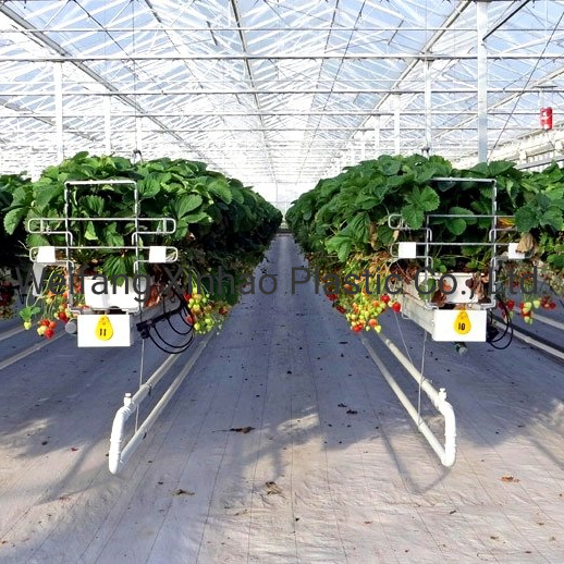 White Weed Mat Reflective Ground Cover Fabric Reflect Light White Cloth for Greenhouse Orchard