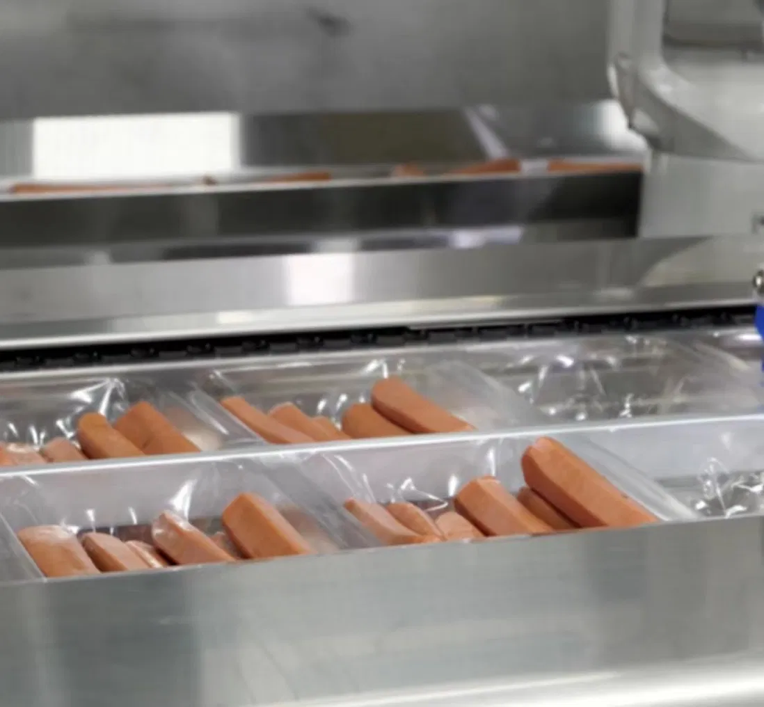 High-Quality PE/PA Coextruded Plastic Film for Sausage Packaging