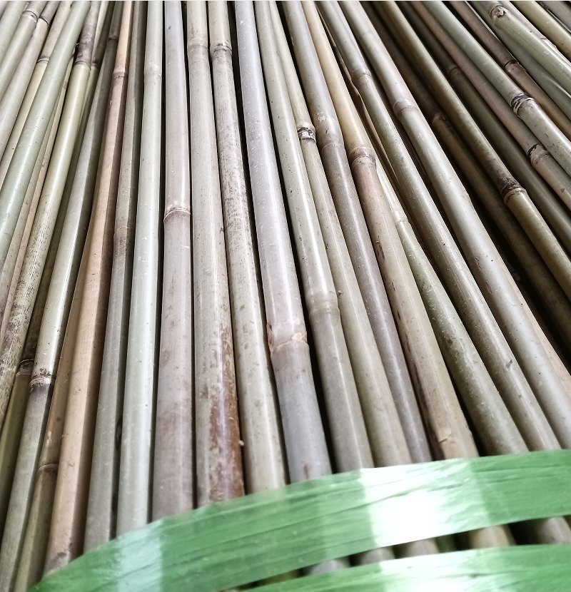 Bamboo Trellis for Vines/Wholesale Bamboo Sticks