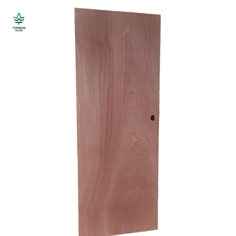 Modern Design Styles Sapele Veneer Plywood Flush Interior Door for Door